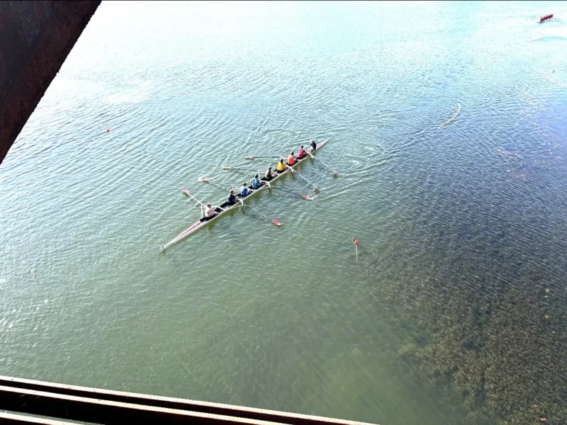 A rowboat with participants dressed in rainbow colors passes under a bridge girder near aquatic plants with another boat in the far distance