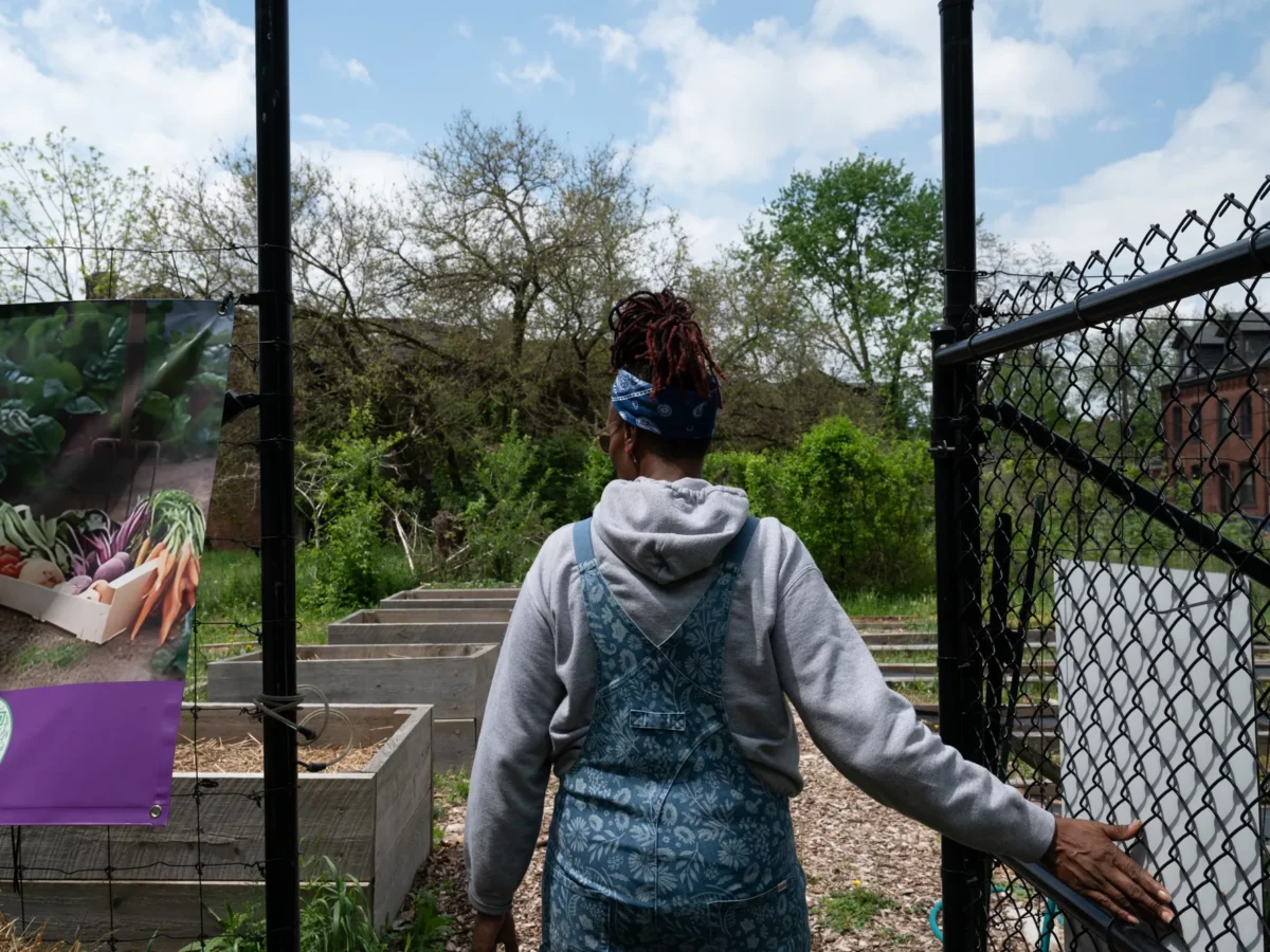 Urban farms in some neighborhoods face the prospect of development and an uncertain future