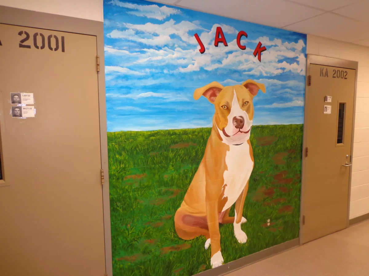 The D.A.W.G. prison program provides second chances for dogs and inmates