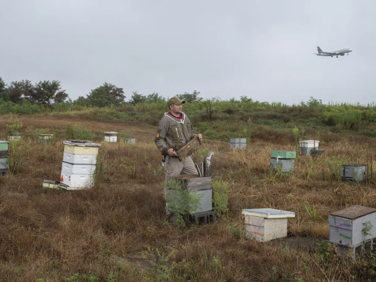 Pittsburgh International Airport is now home to honeybee hives