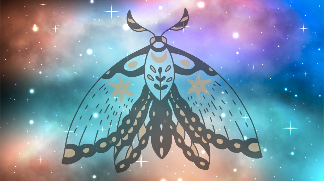 A moth against a deep space background