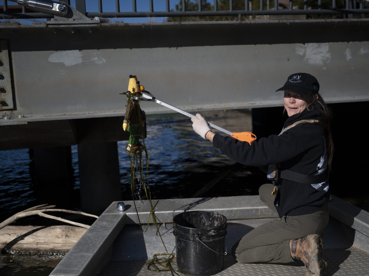 The Immaculate Collection proves litter cleanup can be a community act