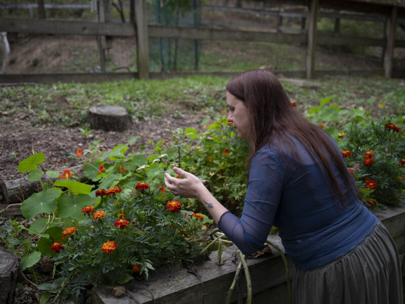 A woman with long straight hair in a skirt and long-sleeved blouse examines flowering plants as a dog looks on from behind a fence in the background
