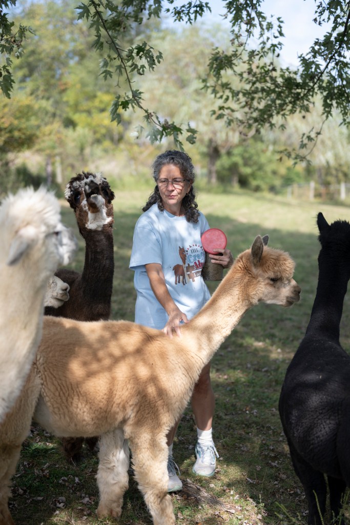 The Crafty Alpaca farm in Avella spins fleece into treasures and