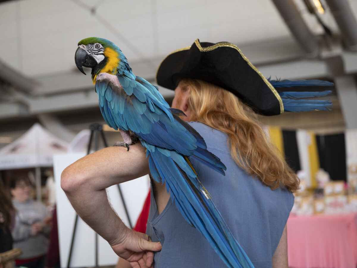 Pittsburgh Pet Expo draws animal lovers downtown