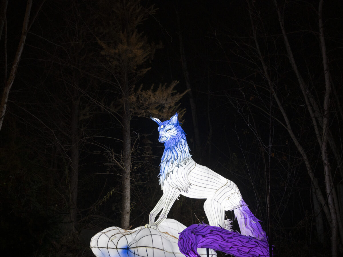 Pittsburgh Zoo goes wild with new holiday lantern displays