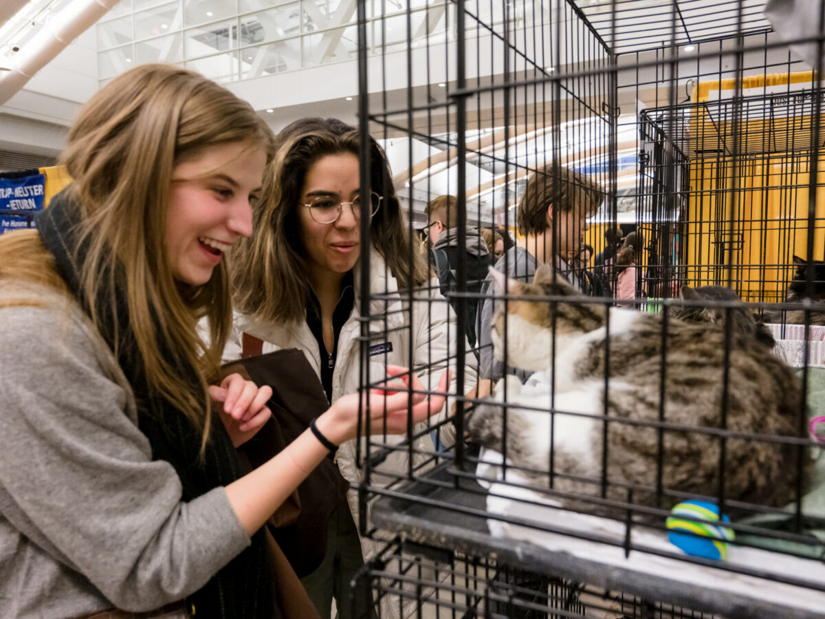 ‌Pittsburgh’s top events: Thu., Nov. 6-Wed., Nov. 12