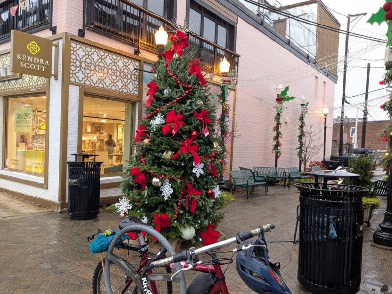 CP Year in Review: Executive Editor Ali Trachta’s favorite stories of 2025