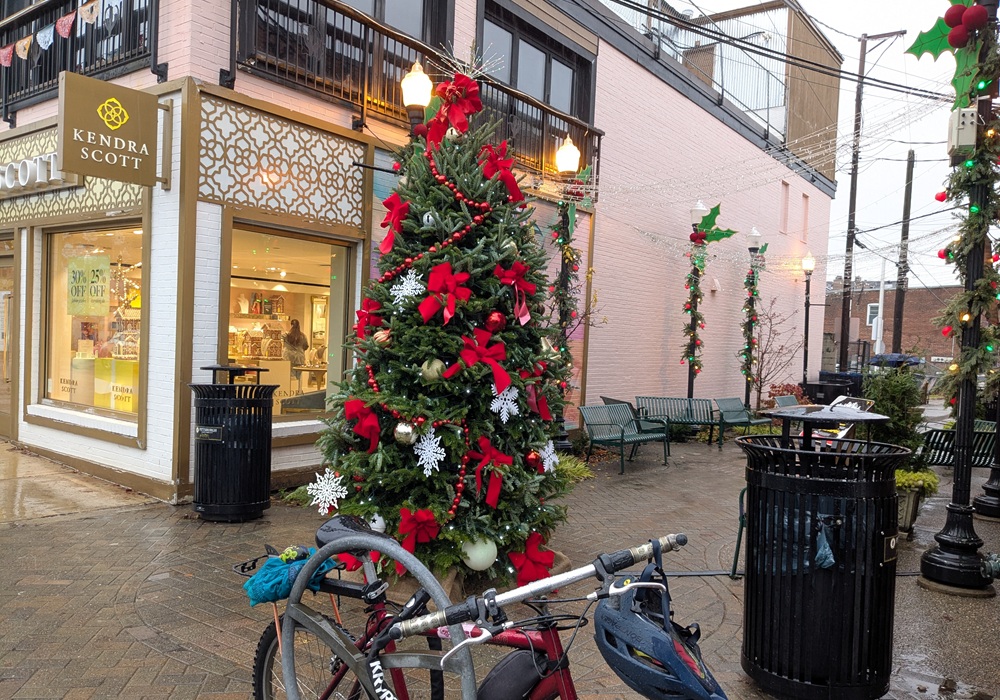 CP Year in Review: Executive Editor Ali Trachta’s favorite stories of 2025