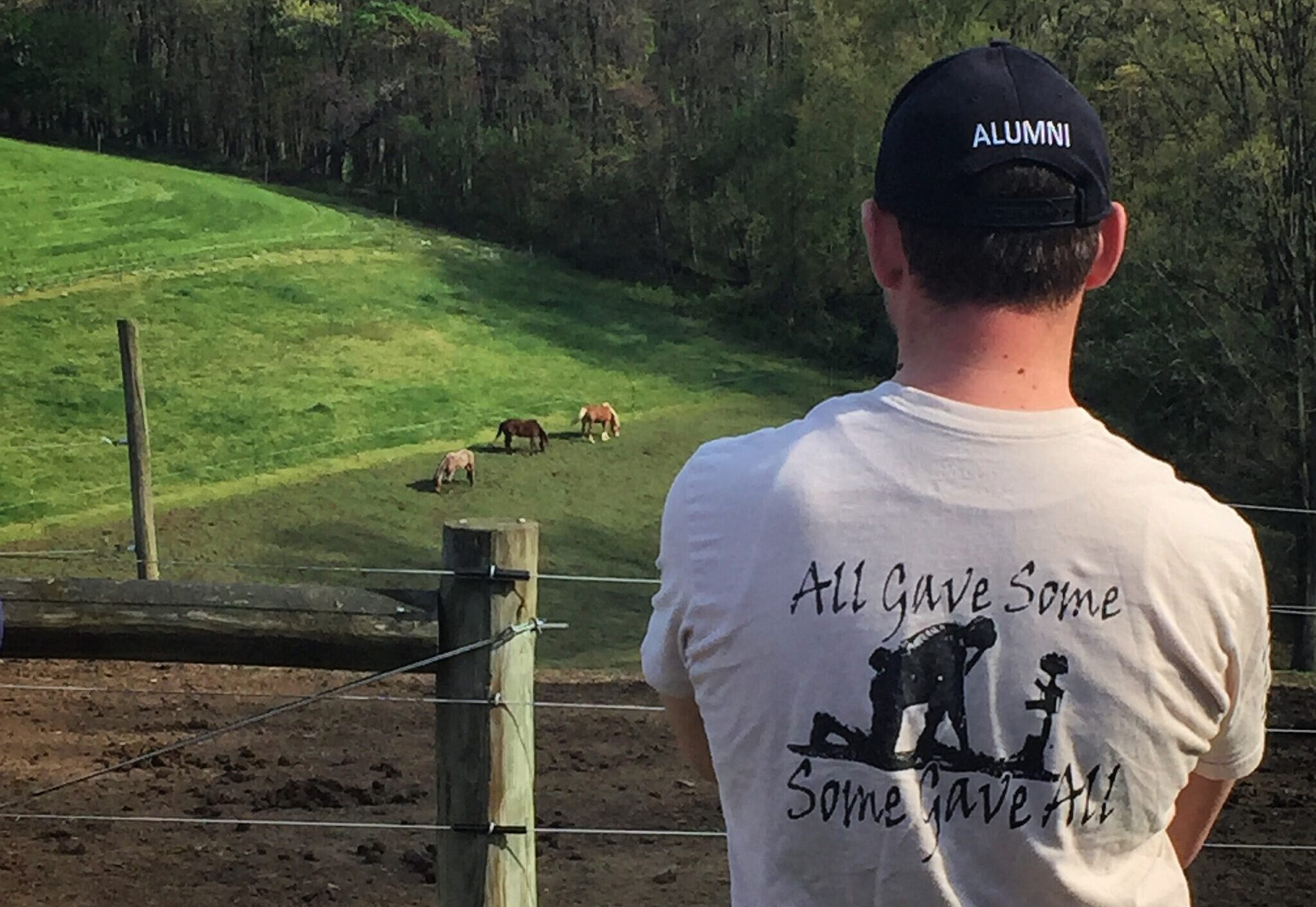In Wexford, horses help veterans through PTSD and mental health struggles