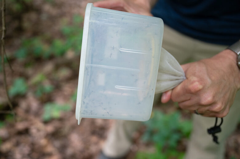 Allegheny County Vector Control is the first line of local defense ...